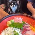 磯料理 天海の写真_1842535