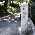 貝殻坂の写真_184288