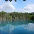 白金青い池の写真_184329