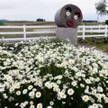 新栄の丘 展望公園の写真_184371