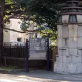 シドモア桜の写真_184430