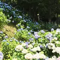 ２１世紀の森公園の写真_184502
