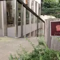 ダンディゾン（Dans Dix ans）の写真_184592