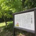 七ﾂ塚古墳群の写真_1850969