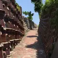 常滑焼 散歩コースの写真_185571