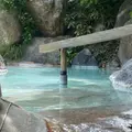 瑠璃の湯（姥湯温泉 桝形屋）の写真_1859488