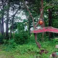 FBI DAISENの写真_186029