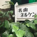 ネルケンの写真_186083
