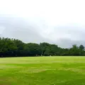 井の頭恩賜公園競技場の写真_186288