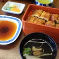 博多名代吉塚うなぎ屋の写真_186334