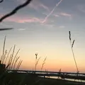 隅田川の写真_186383