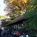 リストランテASOの写真_186441