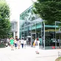 代官山 蔦屋書店(TSUTAYA)の写真_186470