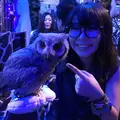 ふくろうカフェ アウルの森の写真_186619