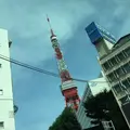 東京タワーの写真_186732