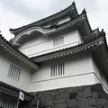 千葉県中央博物館　大多喜城分館の写真_187550