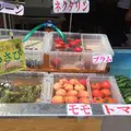 道の駅 風穴の里の写真_187590