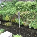 居醒の清水の写真_188045