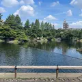 徳川園の写真_1880925