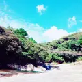 鮎もどし自然公園の写真_188141