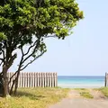茂木浜海水浴場の写真_188146