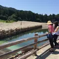 板取川洞戸観光ヤナ（株）の写真_188740