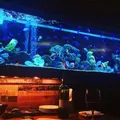 新宿ライムの写真_188803