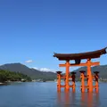 嚴島神社 大鳥居の写真_1890619