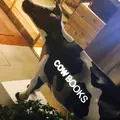 COW BOOKS 中目黒の写真_189709