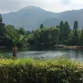 金鱗湖の写真_190504