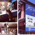 手造り工芸の店　木之本の写真_190945
