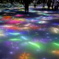 チームラボプラネッツ TOKYO (teamLab Planets TOKYO) DMMの写真_1912790