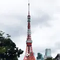 東京タワーの写真_191643