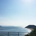 恋路ヶ浜の写真_191992