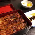 小島屋の写真_192271
