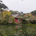 井の頭公園の写真_1923537