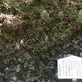 縁結び地蔵尊の写真_192600