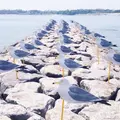 大浦海水浴場の写真_192731