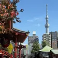 浅草寺の写真_1928044