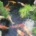 春花園の写真_193137