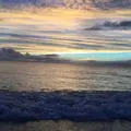 白良浜の写真_194000