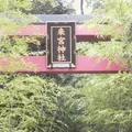 來宮神社の写真_194130