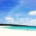 渡口の浜の写真_194245
