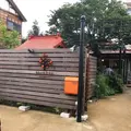 カキノキテラスの写真_194479