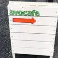 avocafeの写真_194717