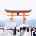 嚴島神社 大鳥居の写真_194747