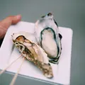 お食事処 梅山の写真_194752
