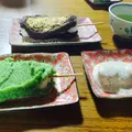 最上川千本だんごの写真_195409