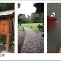 殿ヶ谷戸庭園の写真_195852