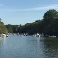 井の頭恩賜公園の写真_195955